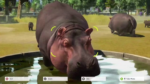 Zoo Tycoon Free Download PC Game | Ocean Of Games