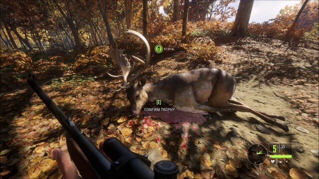 the hunter call of the wild pc: